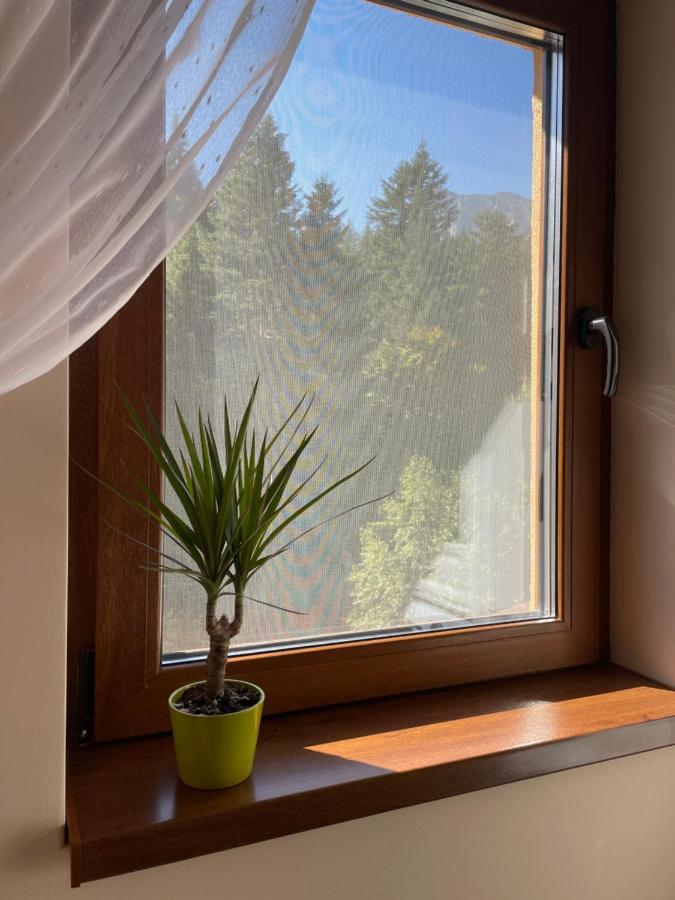 Apartament Lexannona Buşteni Eksteriør bilde