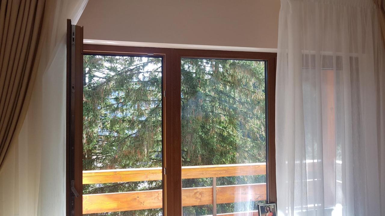 Apartament Lexannona Buşteni Eksteriør bilde