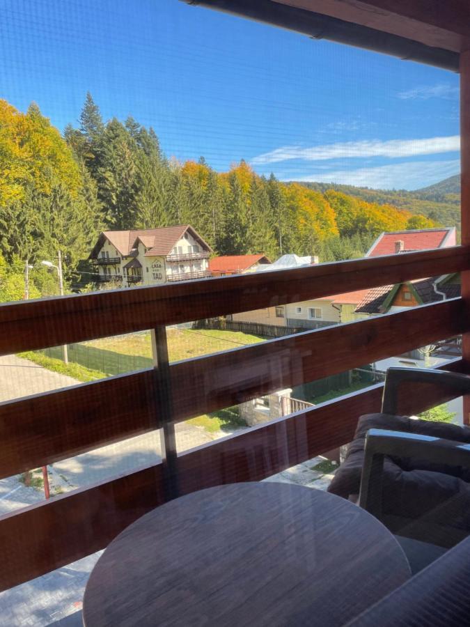 Apartament Lexannona Buşteni Eksteriør bilde